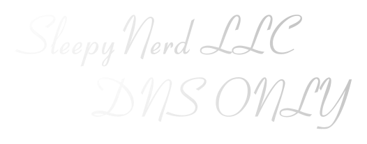 SleepyNerd LLC DNS ONLY